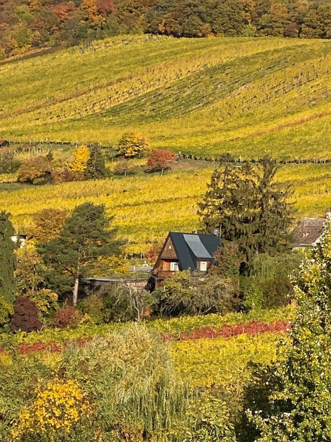 Vacationhome In The Vineyards Vídeň Exteriér fotografie