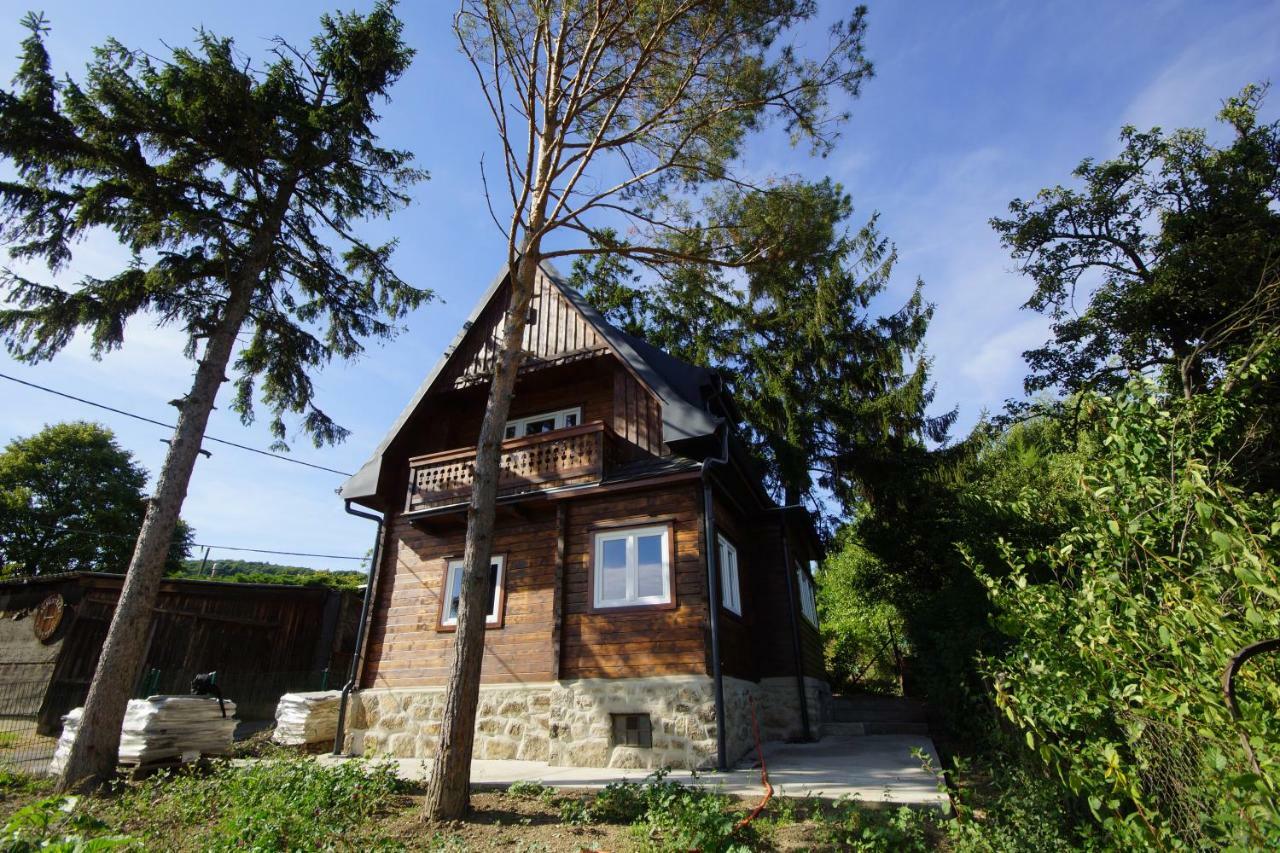 Vacationhome In The Vineyards Vídeň Exteriér fotografie